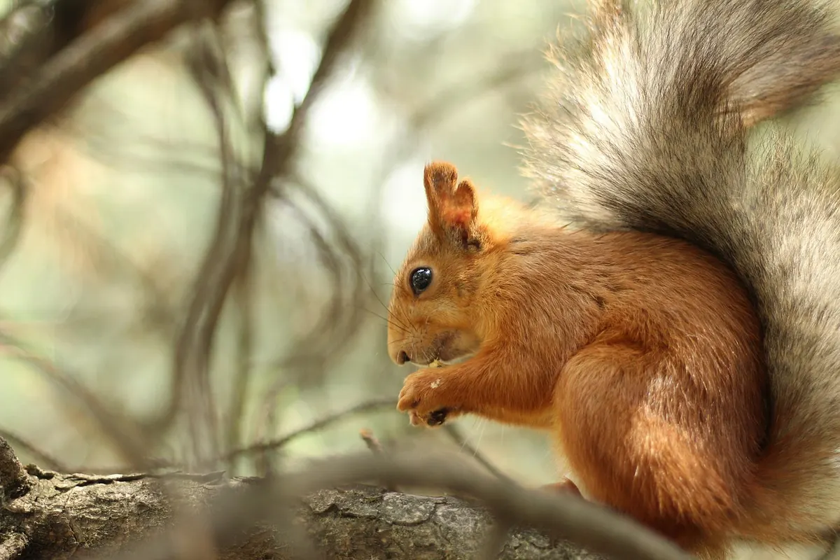 What Is Mindful Eating? A Simple Explainer for Beginners